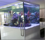 Profile Photos of Custom Aquariums