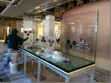 Profile Photos of Custom Aquariums