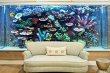 Profile Photos of Custom Aquariums