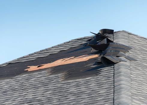  Profile Photos of Steel City Pro Roofing Serving Area - Photo 3 of 3