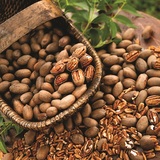 Profile Photos of Bass Pecan Company