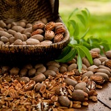 Profile Photos of Bass Pecan Company