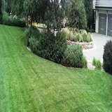 Profile Photos of Clean Air Lawn Care Jackson Hole