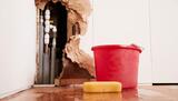 Profile Photos of Hamilton County Restoration Experts