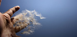 Profile Photos of Cooper Associates