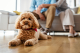 Profile Photos of Bell Partners Finance Perth