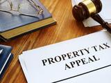 Profile Photos of Texas Property Tax Reductions