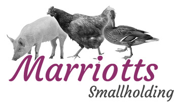 Profile Photos of Marriotts Smallholding Suite 2077, 6-8 Revenge Road - Photo 1 of 1