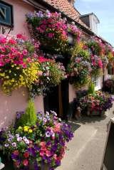 The Fox Inn, Woodbridge