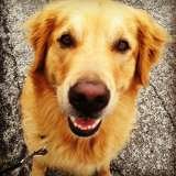  Fur-Endly Pet Care 32 Peach Tree Rd 