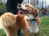  Fur-Endly Pet Care 32 Peach Tree Rd 