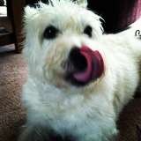  Fur-Endly Pet Care 32 Peach Tree Rd 