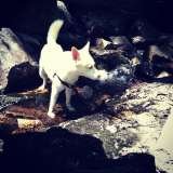  Fur-Endly Pet Care 32 Peach Tree Rd 