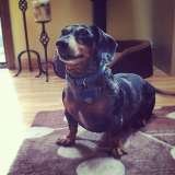  Fur-Endly Pet Care 32 Peach Tree Rd 
