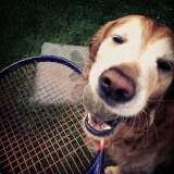  Fur-Endly Pet Care 32 Peach Tree Rd 