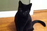 Fur-Endly Pet Care 32 Peach Tree Rd 