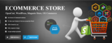 Affordable E commerce web development in India, Noida