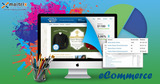 Affordable E commerce web development in India, Noida