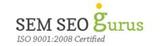 SEM SEO GURUS (India), Delhi