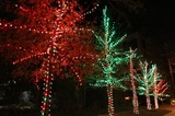  Spark Lighting 7714 Renwick Dr, Suite 36 