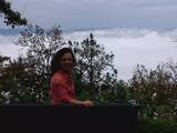  Vishwa Shanti Yoga School Hotel Yog Vashisth Near Vanprasth Ash Part-2, Sawargashram Rishikesh 