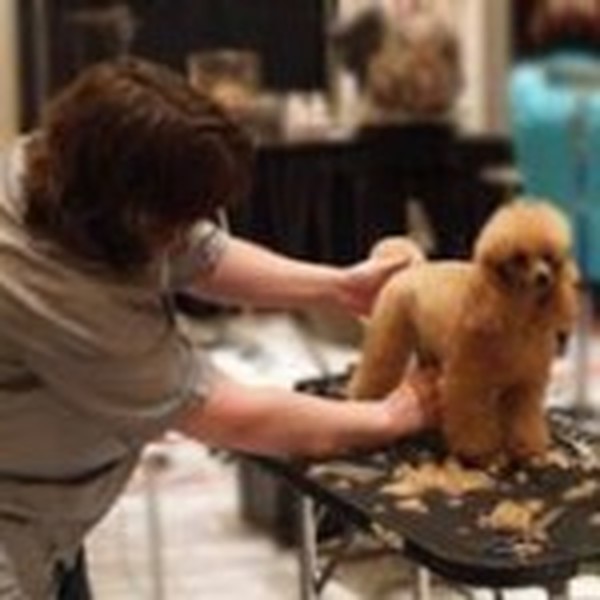  Profile Photos of Merryfield School of Pet Grooming 5040 NE 13th Ave. - Photo 3 of 19