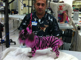 Merryfield School of Pet Grooming, Oakland Park