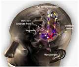 Neuro Linguistic Programming (NLP) infinite possibilities hypnotherapy Windmill Fields 