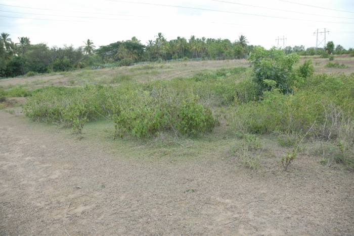  Profile Photos of REAL ESTATE-RESIDENTIAL PLOTS SALE AFTER KANAKAPURA,SATHNUR,NH-209 - Photo 5 of 8