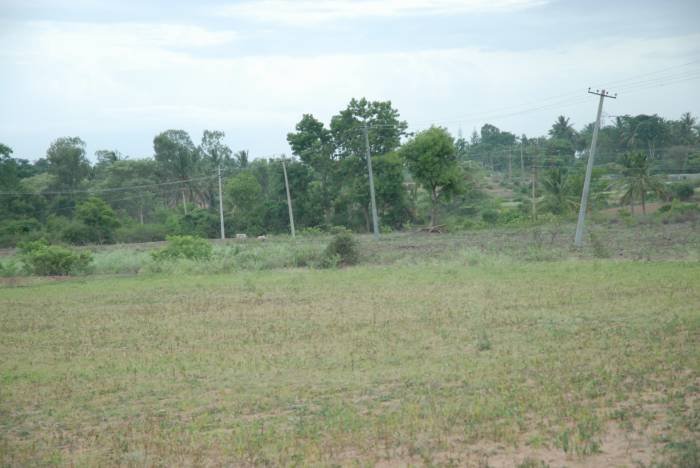  Profile Photos of REAL ESTATE-RESIDENTIAL PLOTS SALE AFTER KANAKAPURA,SATHNUR,NH-209 - Photo 6 of 8
