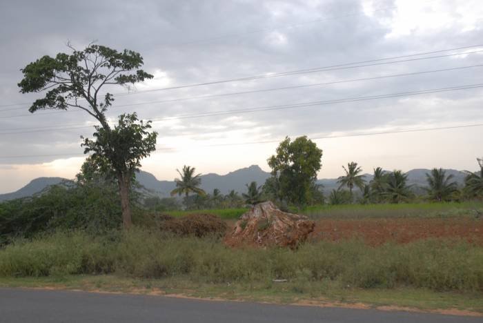  Profile Photos of REAL ESTATE-RESIDENTIAL PLOTS SALE AFTER KANAKAPURA,SATHNUR,NH-209 - Photo 7 of 8