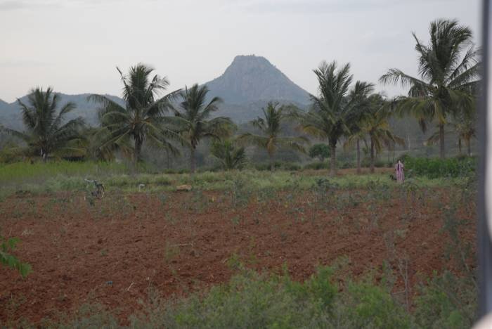  Profile Photos of REAL ESTATE-RESIDENTIAL PLOTS SALE AFTER KANAKAPURA,SATHNUR,NH-209 - Photo 8 of 8