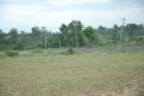 REAL ESTATE-RESIDENTIAL PLOTS SALE, SATHNUR, KANAKAPURA TALUK