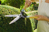 Lawn Gevity Landscaping, Toms River