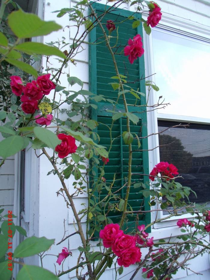 Profile Photos of Colonial House Inn and Restaurant 277 Route 6 A - Photo 21 of 33