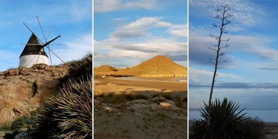  Profile Photos of Cabo de Gata Photography Calle Algaida - Photo 17 of 18