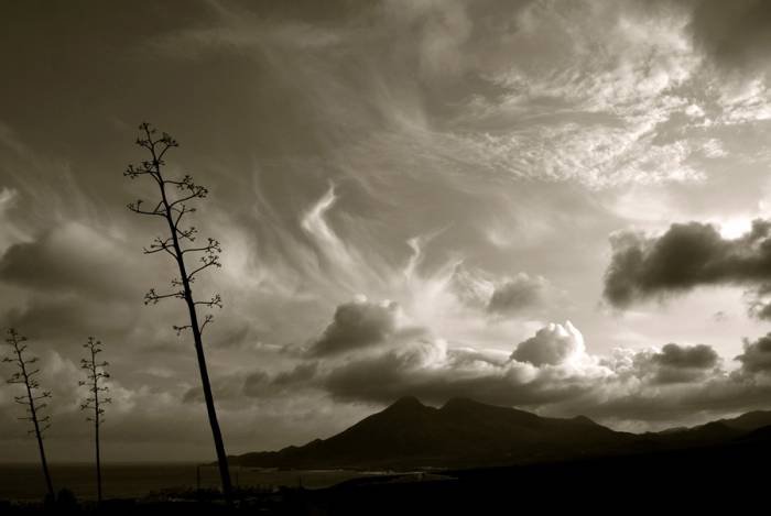  Profile Photos of Cabo de Gata Photography Calle Algaida - Photo 16 of 18