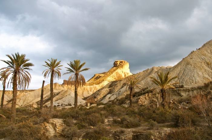  Profile Photos of Cabo de Gata Photography Calle Algaida - Photo 7 of 18