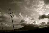  Cabo de Gata Photography Calle Algaida 