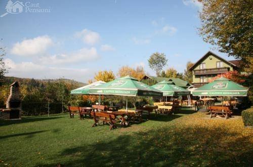  Hotels and Guesthouses of Caut Pensiuni Bozieni 7 - Photo 3 of 7