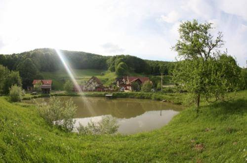  Hotels and Guesthouses of Caut Pensiuni Bozieni 7 - Photo 6 of 7