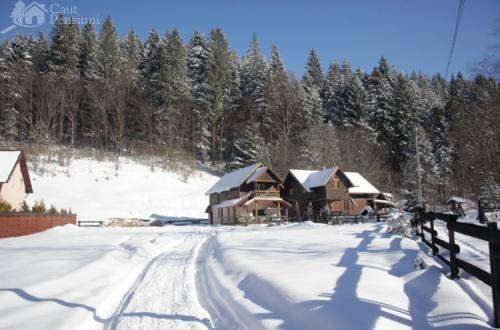  Hotels and Guesthouses of Caut Pensiuni Bozieni 7 - Photo 7 of 7