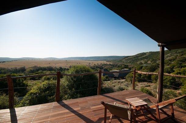  Profile Photos of HillsNek Safaris Amakhala Game Reserve - Photo 7 of 16