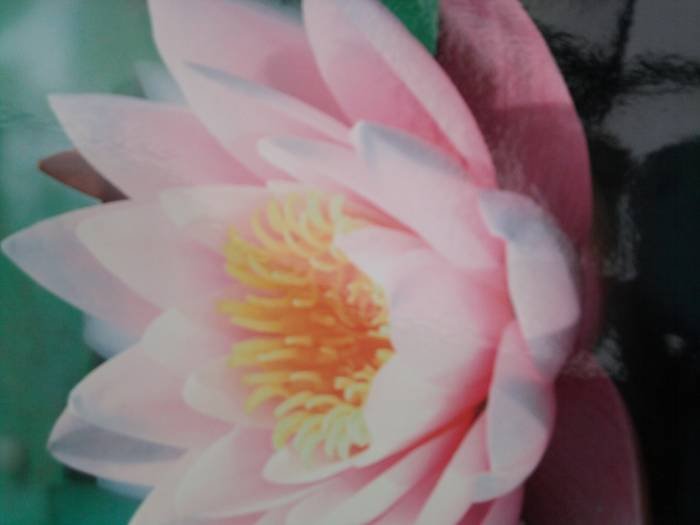  Profile Photos of Transitions Counselling Service Downland Copse - Photo 3 of 5