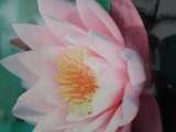 Transitions Counselling Service, Uckfield