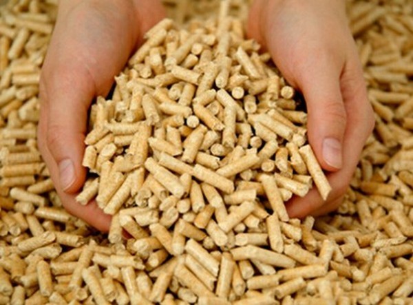  Profile Photos of Rice Hulls Pellet Mill/High Efficiency Rice Hulls Pellet Mill/Fote Ric High and New Technology Industrial Development Zone, Zhengzhou, China - Photo 2 of 2