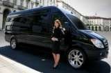 Deluxe Chauffeured Cars & Limousines, West Perth