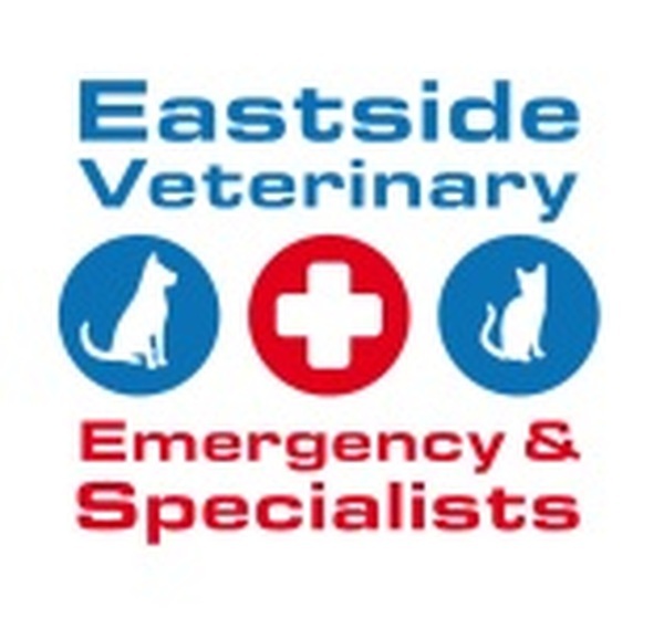  Profile Photos of Eastside Veterinary Emergency & Specialists 10 Newcastle Street, St Rose Bay - Photo 3 of 3