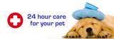  Eastside Veterinary Emergency & Specialists 10 Newcastle Street, St Rose Bay 