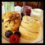  Biddy's Tea Room 15 Lower Goat Lane 
